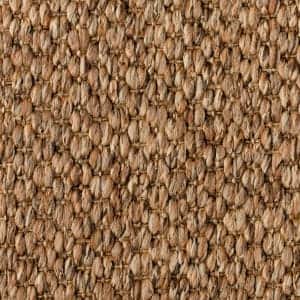 Bark