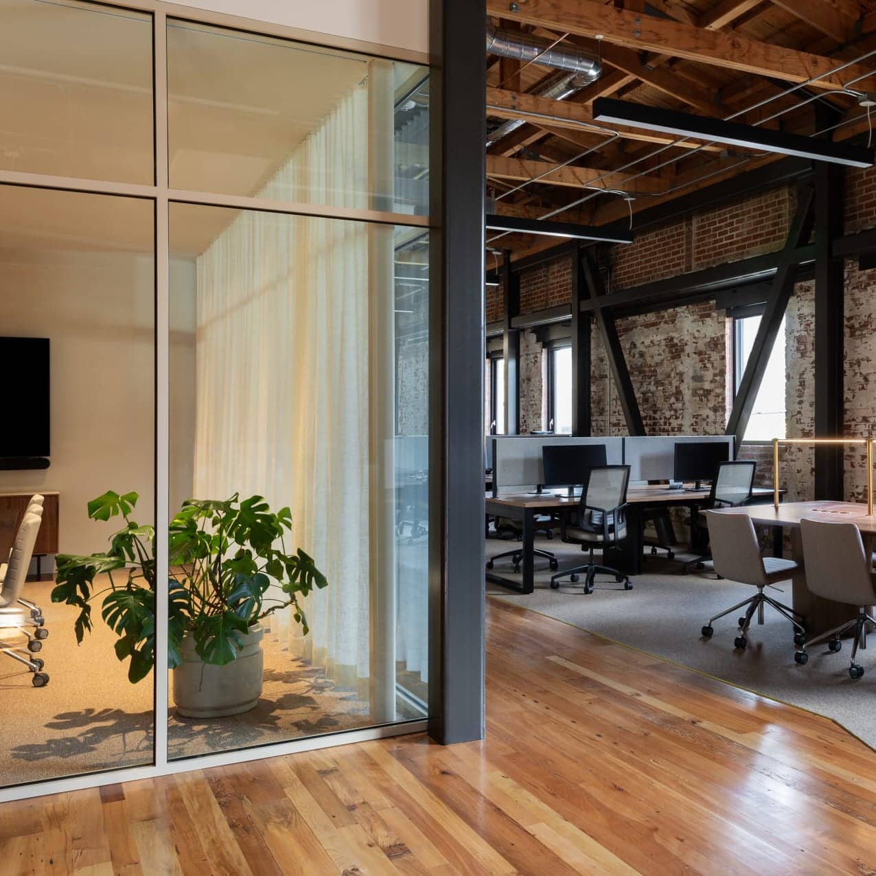 Photo by Amy Bartlam | Designed by Studio Murnane