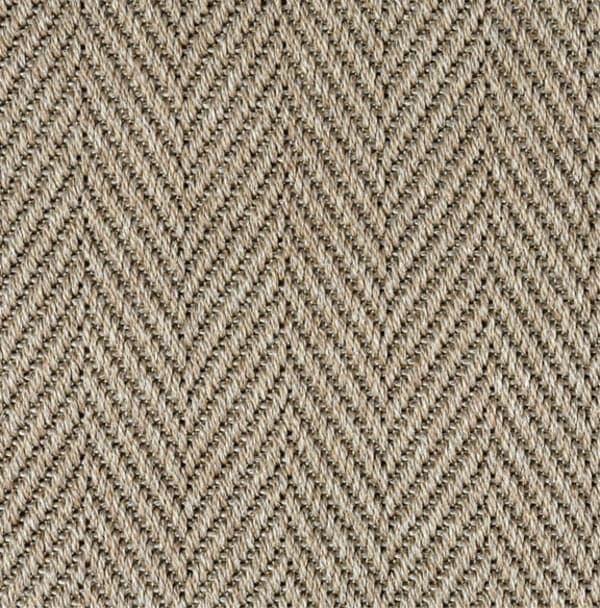 Maya Gradient | Coconut