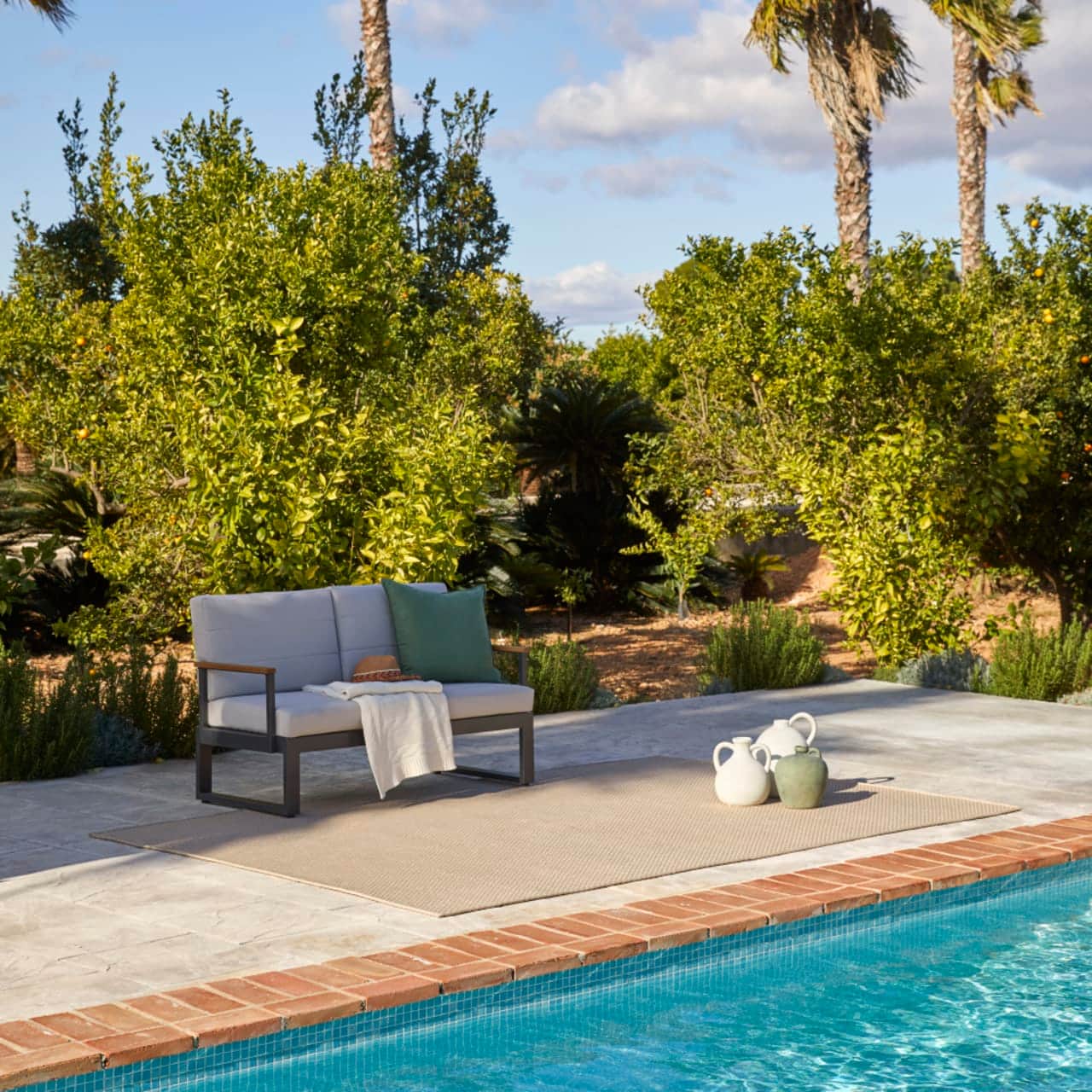 Terra Sahara | Coconut