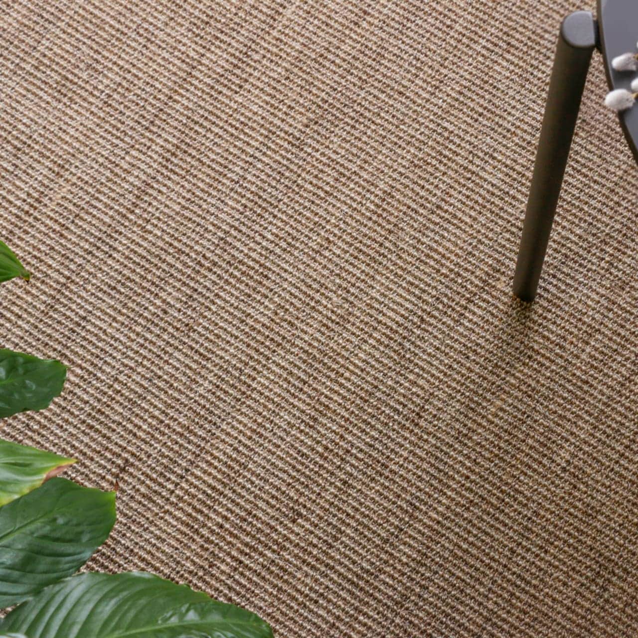 EarthSISAL™ | Beech