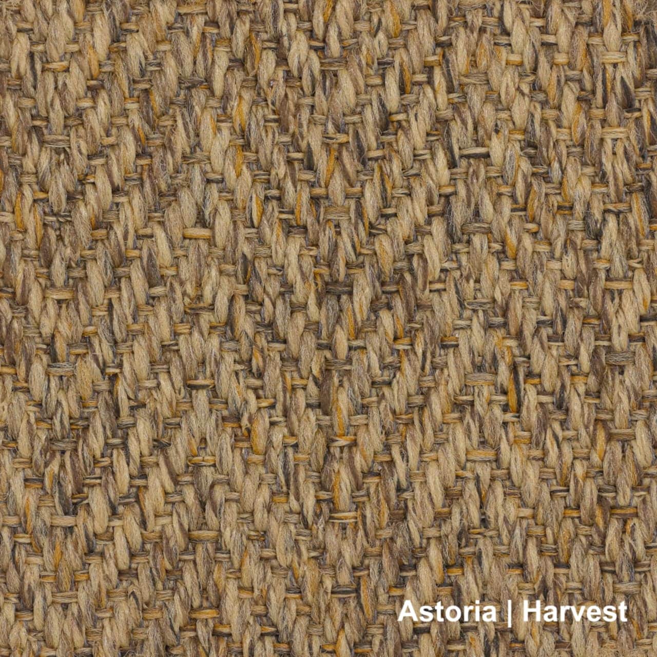 Astoria | Harvest