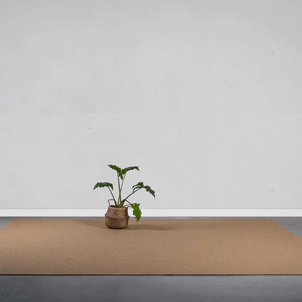 serged edge area rug with plant