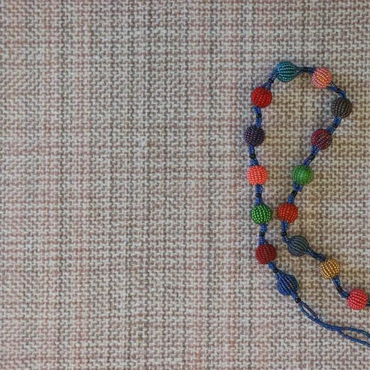 striped harmony: pimlico in petal close up