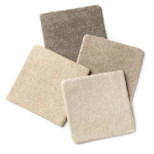 Chennai | Dunnock, Owl, Ammonite, & Cloud