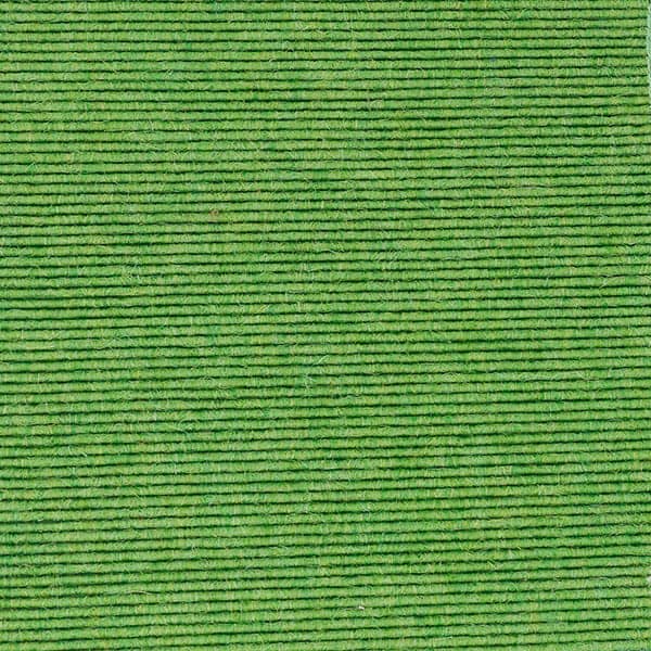 Acousticord | Shamrock