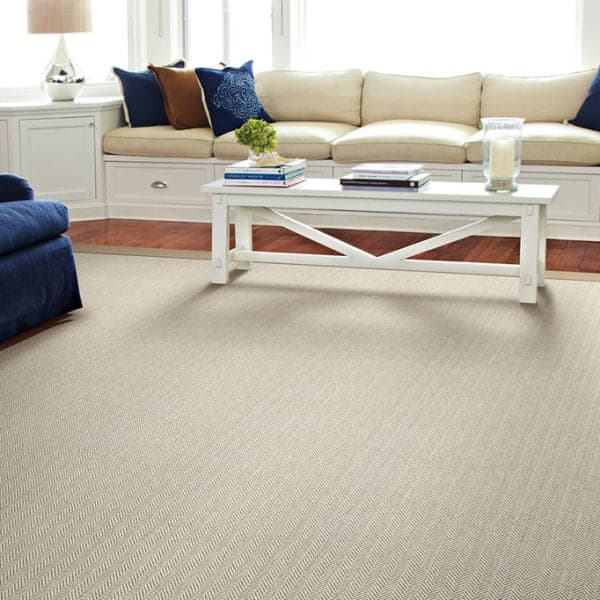 polished: marin in color fossil