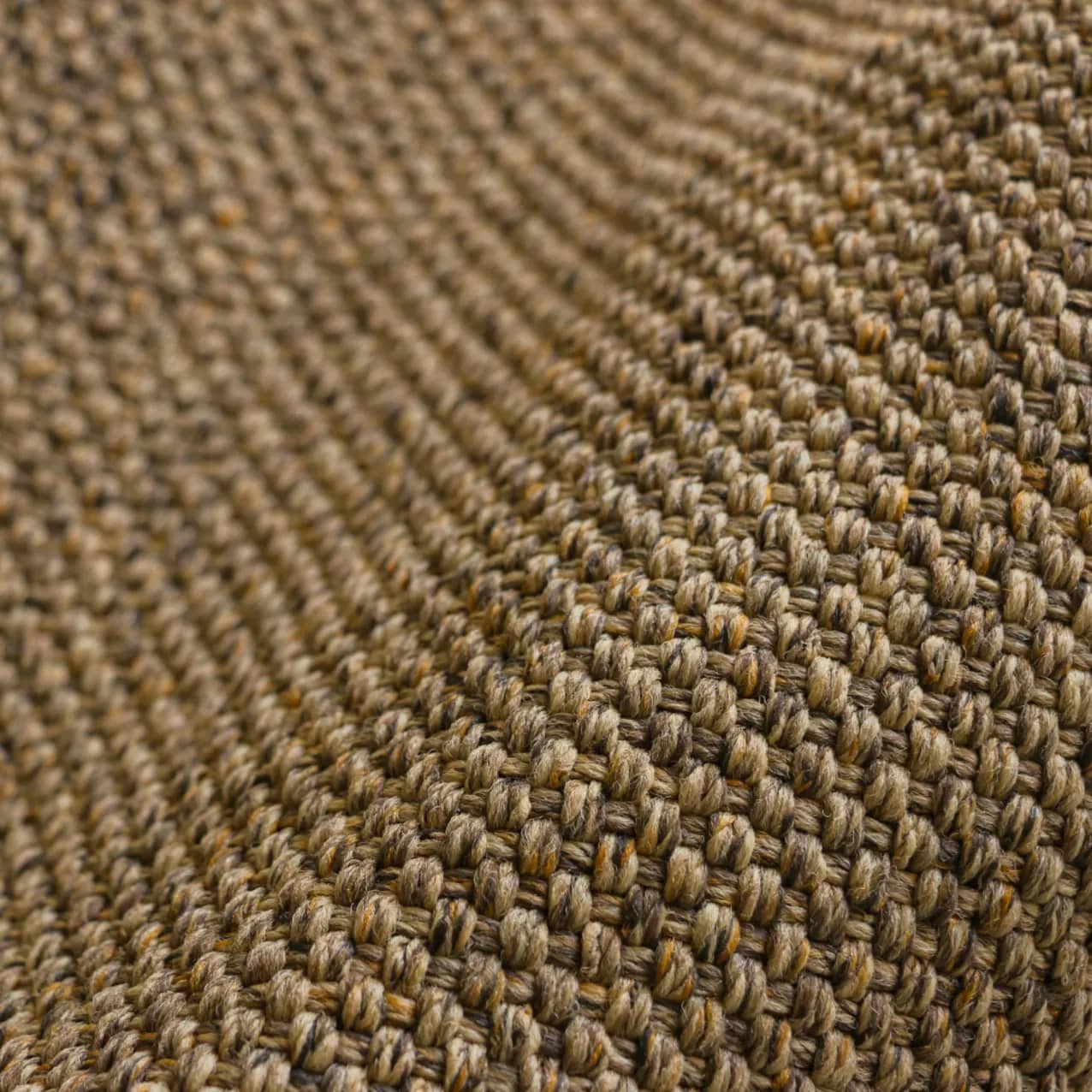Ravenna | Harvest