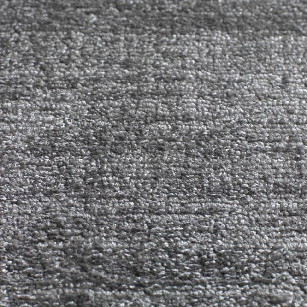 Santushti | Fossil