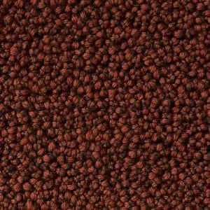 Cayenne