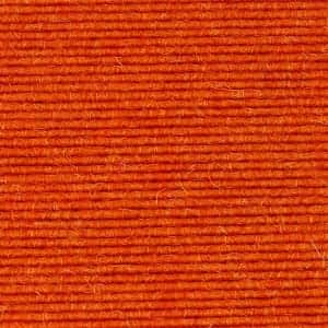 Orange Squash