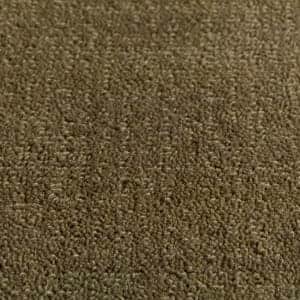 Sedge