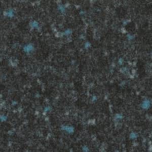 SCO 355