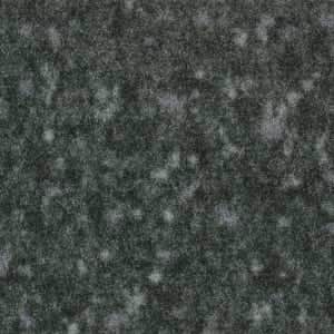 SCO 440