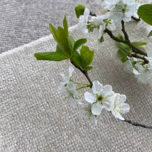 Chennai | Horseradish & Ammonite