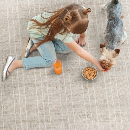 easy to clean: uv stabilized nylon yarns are kid & pet friendly (akoya area rug in color sand)