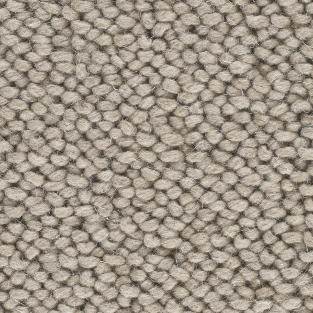 Bad Hair Day | Wheat