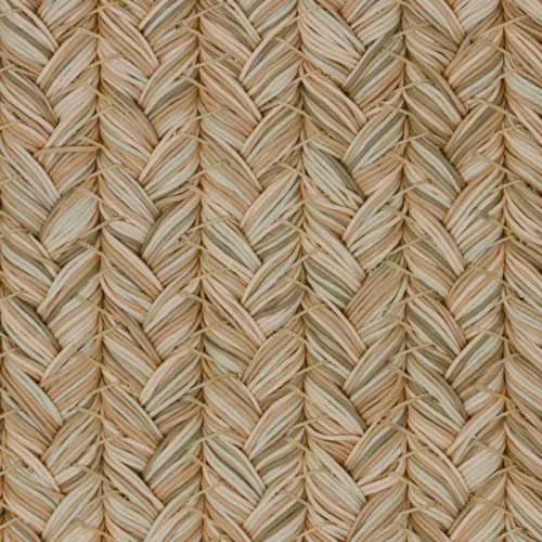 Sahara